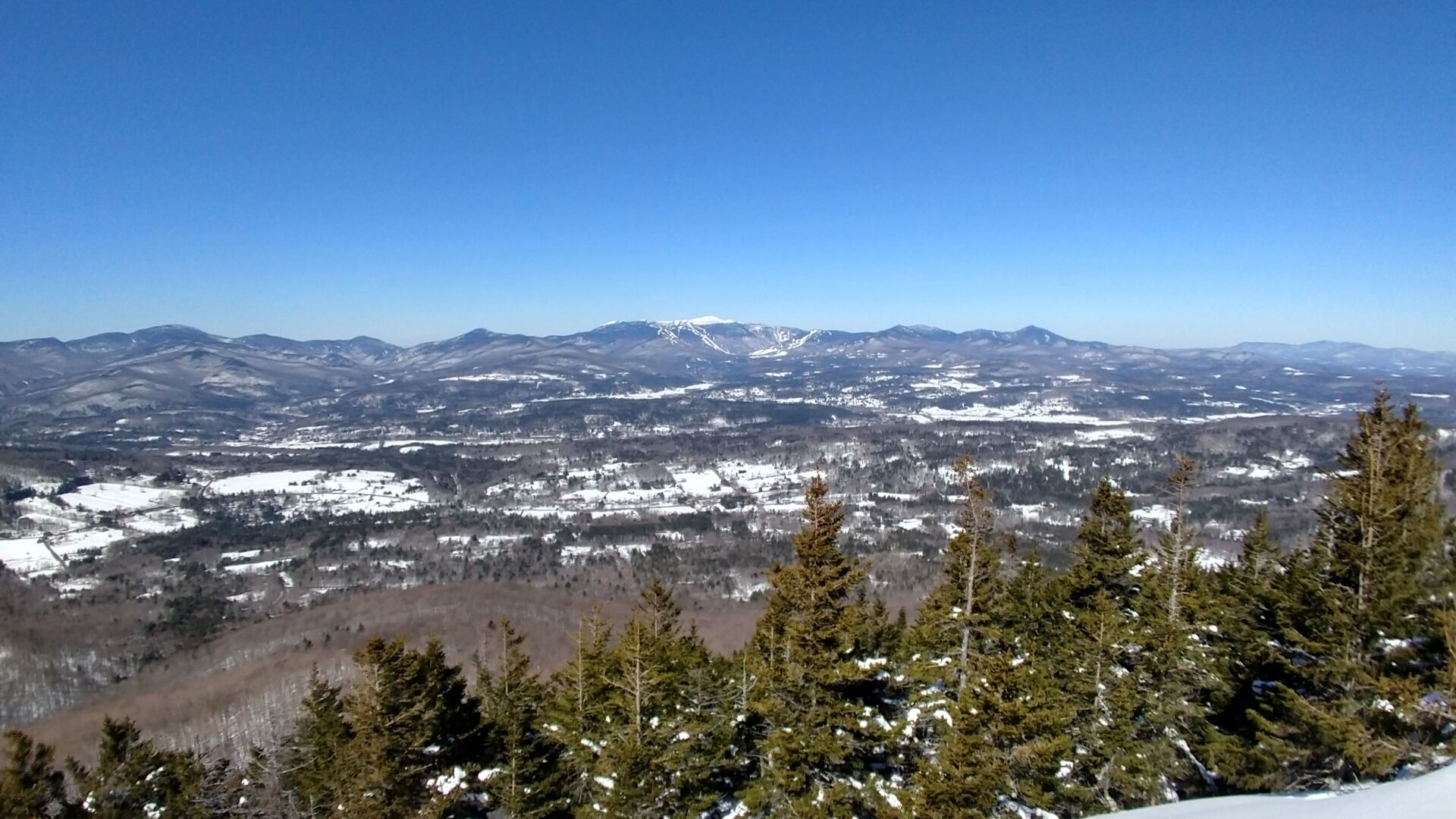 IMG_20190326_115606224_HDR.jpg